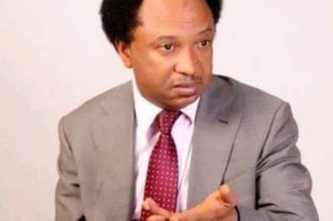 DO WE NEED 'TOO MUCH' TO BE HAPPY?