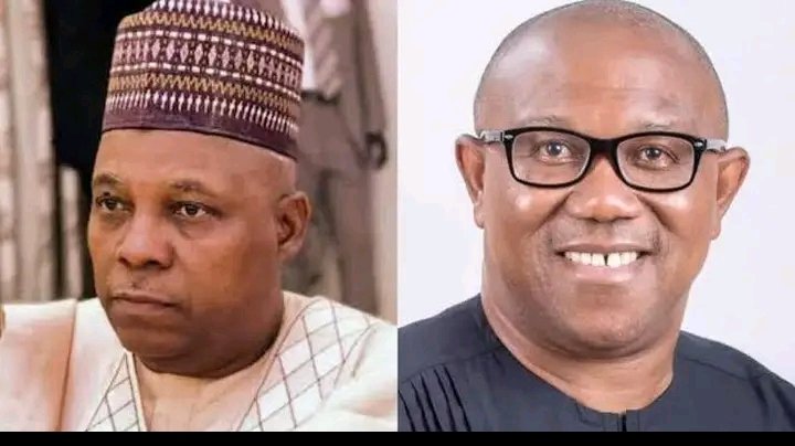 “PETER OBI CANNOT GET MORE THAN FIVE THOUSAND VOTES IN THE WHOLE OF SOUTH WEST AND NORTHERN REGION” – SHETTIMA BERATES LP CANDIDATE 