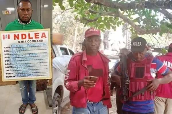 NDLEA ARRESTS LAGOS AIRPORT CLEANER WHO LEADS DRUG SYNDICATE