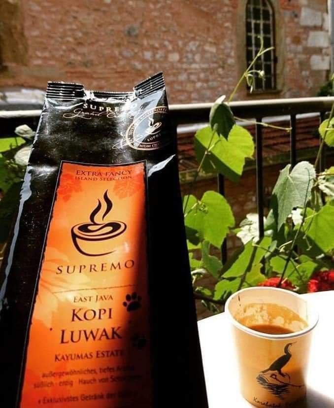 ONE OF THE MOST EXPENSIVE AND SOUGHT-AFTER COFFEES IN THE WORLD IS CALLED "KOPI LUWAK" OR "CIVET COFFEE" 