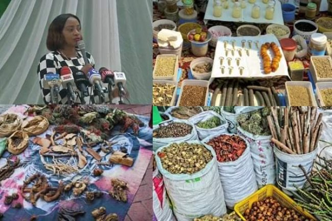 EXPERTS HIGHLIGHT THE NEED FOR AN INCREASE IN THE USE OF UNORTHODOX MEDICINE