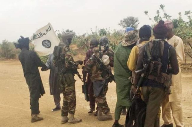 HUNDREDS OF BOKO HARAM FIGHTERS FLEE TO NEW LOCATION