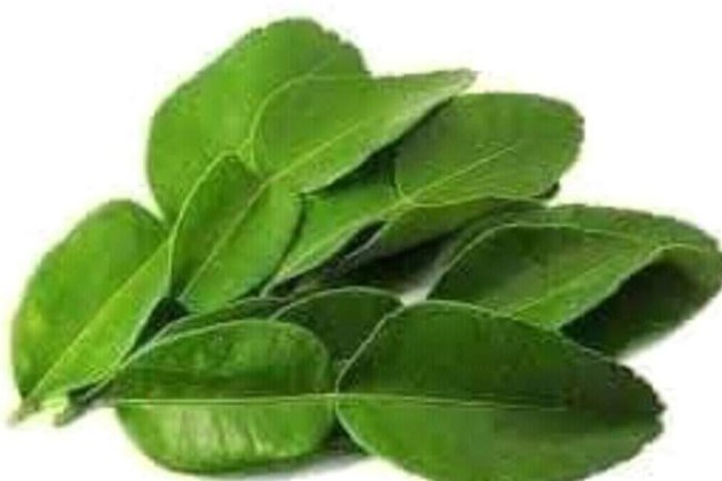 REMEDY TO SEVERE TOOTHACHE!!! 