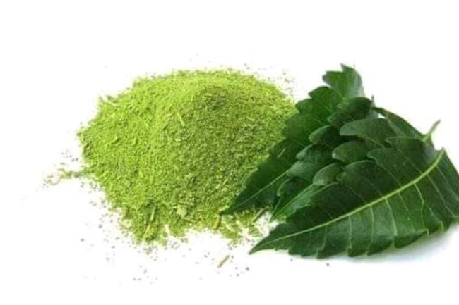 HOW TO PRODUCE NEEM POWDER FOR GLOWING SKIN AND HAIR GROWTH