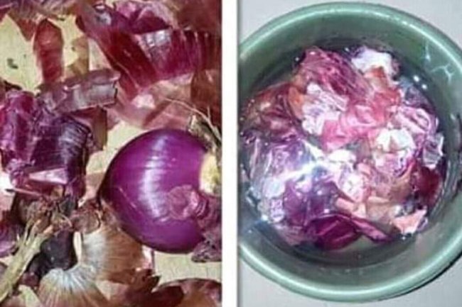 ONION PEEL AS A MOSQUITO KILLER