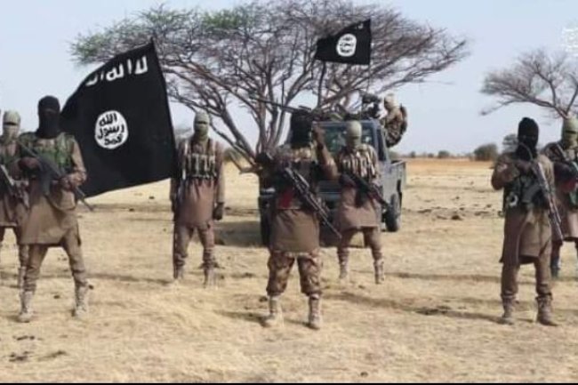 BOKO HARAM 'CHIEF EXECUTIONER', FAMILY SURRENDER IN BORNO