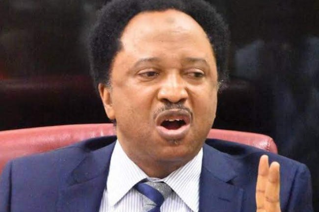 AVOID KADUNA AIRPORT, IT'S CLOSE TO THE FOREST – SHEHU SANI ADVISES PROTESTING STUDENTS