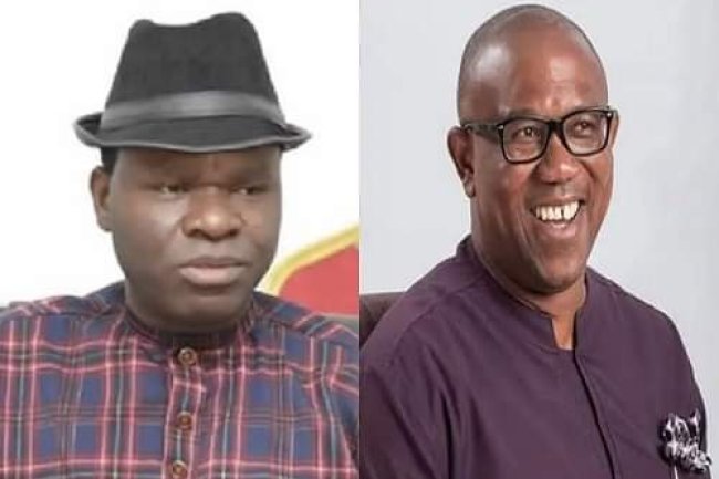 ACTIVIST CAUTIONS PETER OBI OVER ALLEGED ROMANCE WITH PDP CHIEFTAINS