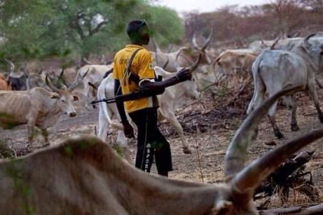 SUSPECTED HERDSMEN KILLED15 PERSONS, MANY INJURED IN BENUE COMMUNITIES
