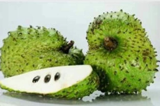 HERE ARE THE NINE SURPRISING BENEFITS OF SOURSOP