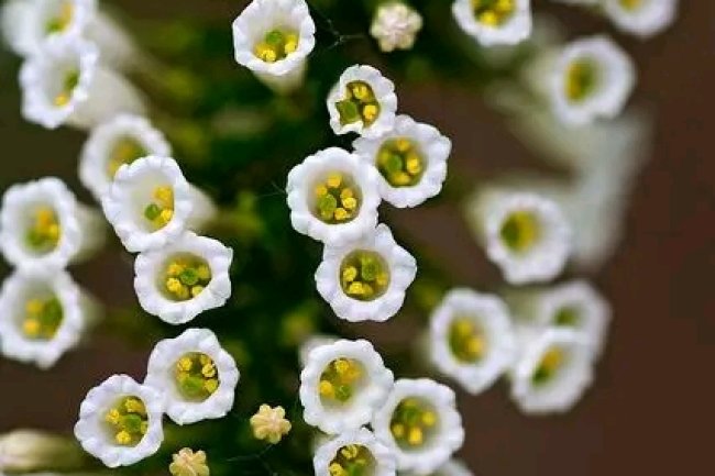 7 THINGS YOU SHOULD STOP EXPECTING FROM OTHERS…