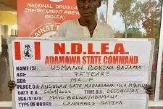 75-YEAR-OLD GRANDPA, 21 OTHERS ARRESTED OVER ILLICIT DRUGS 