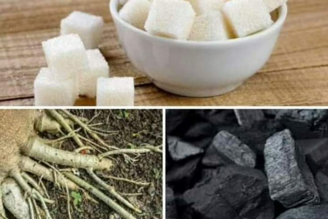 REMEDY FOR CHILDREN OR ADOLESCENTS WHO URINATE IN BED