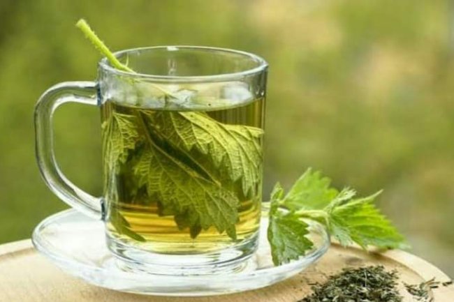 TOP 3 FERTILITY BOOSTING HERBS