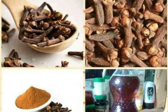 VAGINA ODOUR AND INFECTIONS