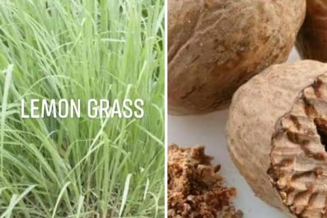 ARE YOU SUFFERING FROM INSOMNIA?