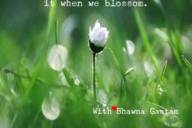 WHY SHOULD WE NEVER BE DISAPPOINTED WITH A LACK OF GROWTH IN LIFE?