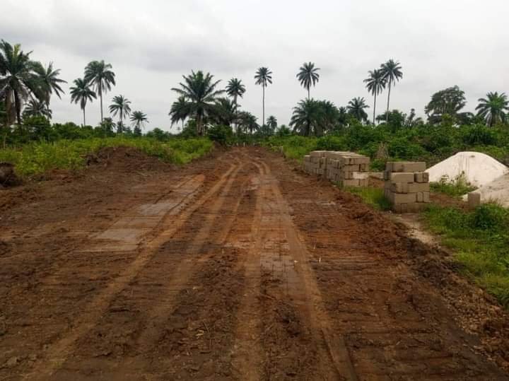 FLASH SALE: 2 PLOTS OF LAND WORTH N1.2 MILLION FOR SALE IN PORT HARCOURT (N600K FOR EACH) 