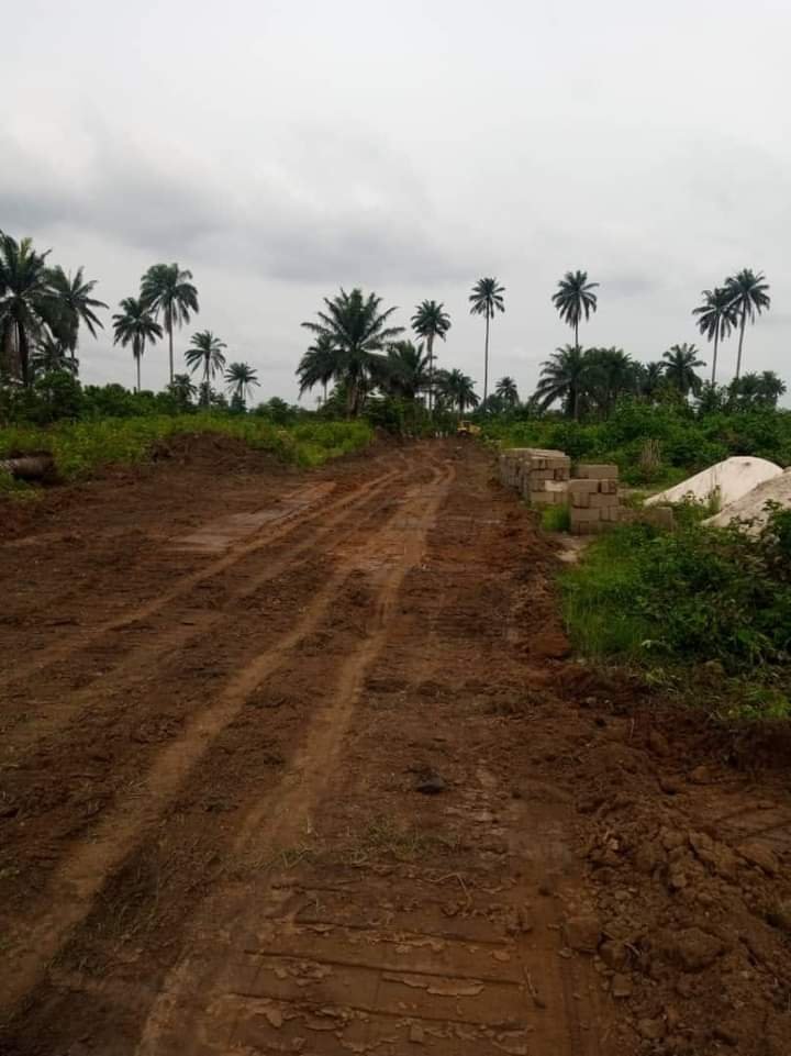 FLASH SALE: 2 PLOTS OF LAND WORTH N1.2 MILLION FOR SALE IN PORT HARCOURT (N600K FOR EACH) 