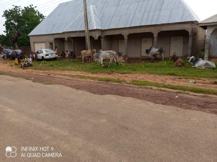 BANDITS SACK 21 COMMUNITIES IN SOKOTO STATE, KILL AND DISPLACE MANY