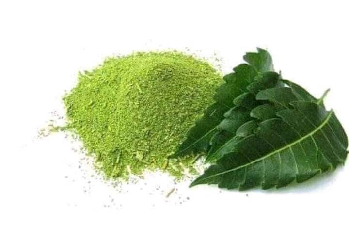 HOW TO PRODUCE NEEM POWDER FOR GLOWING SKIN AND HAIR GROWTH