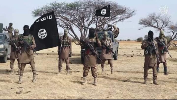 BOKO HARAM 'CHIEF EXECUTIONER', FAMILY SURRENDER IN BORNO