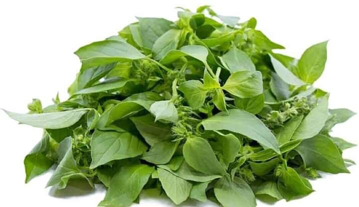 HEALTH BENEFITS OF CONSUMING CURRY LEAVES 