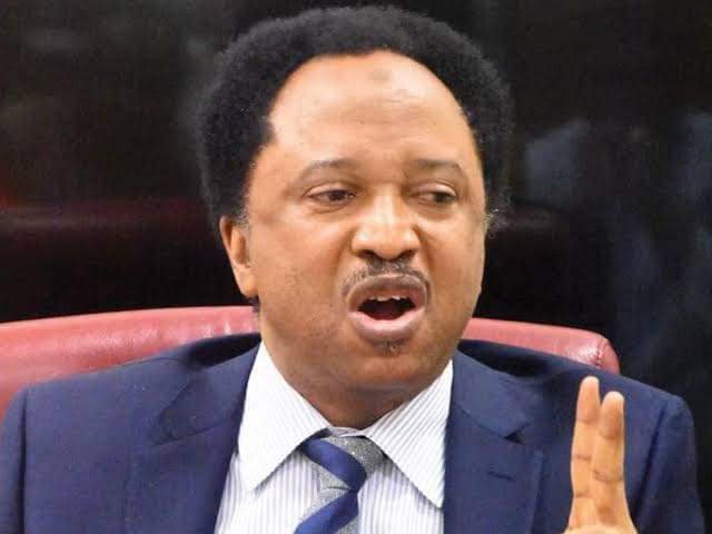 AVOID KADUNA AIRPORT, IT'S CLOSE TO THE FOREST – SHEHU SANI ADVISES PROTESTING STUDENTS