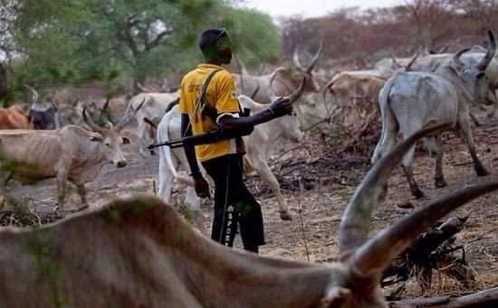 SUSPECTED HERDSMEN KILLED15 PERSONS, MANY INJURED IN BENUE COMMUNITIES