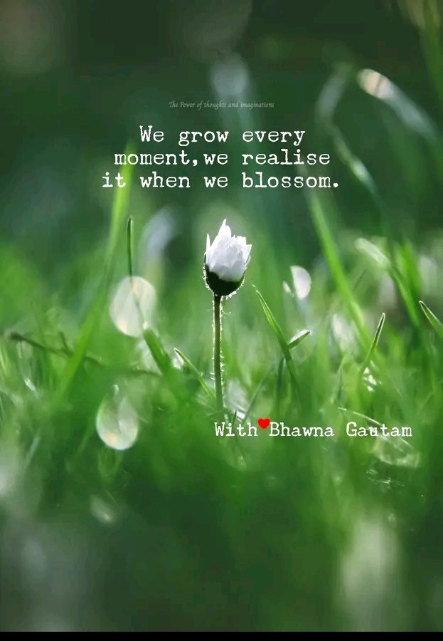 WHY SHOULD WE NEVER BE DISAPPOINTED WITH A LACK OF GROWTH IN LIFE?