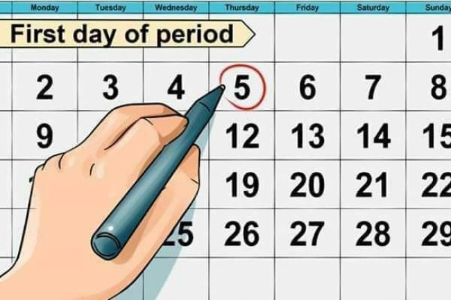 ALL YOU NEED TO KNOW ABOUT OVULATION