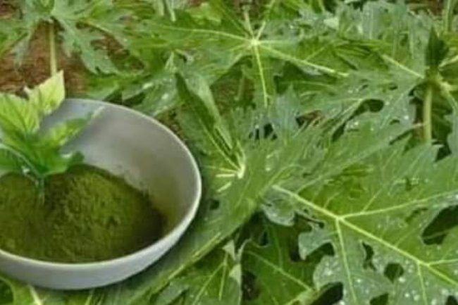 USE THIS FOR THAT STUBBORN FUNGAL AND COME GIVE YOUR TESTIMONY 