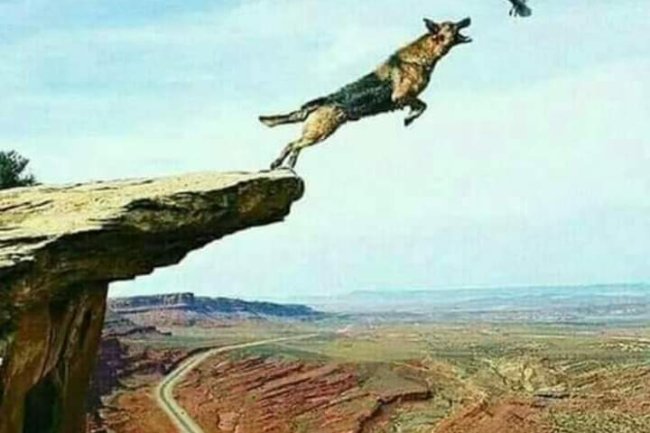 LESSONS FROM THIS PICTURE