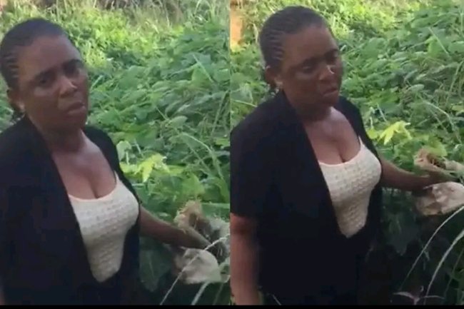 DEPRAVED INDIFFERENCE: LADY ARRESTED FOR BEATING HER MAID TO DEATH AND DUMPING HER BODY INSIDE A BUSH IN ANAMBRA 