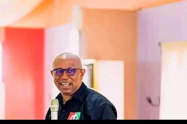 THEY WANT TO PUT ME IN DETENTION BECAUSE I SAID IT'S THOSE IN GOVERNMENT THAT STEAL OIL - PETER OBI  