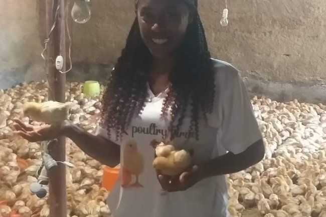 THINGS TO KNOW BEFORE VENTURING INTO POULTRY FARMING