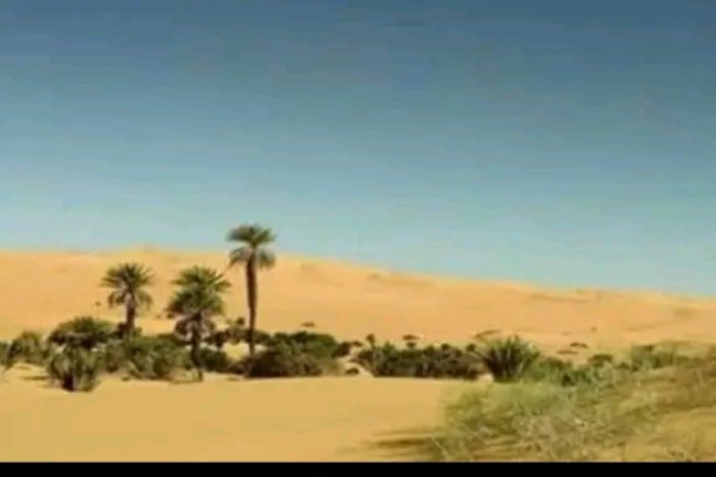 HOW IGBO MAN DISCOVER A TOWN IN NORTH CALLED KWANKWASO