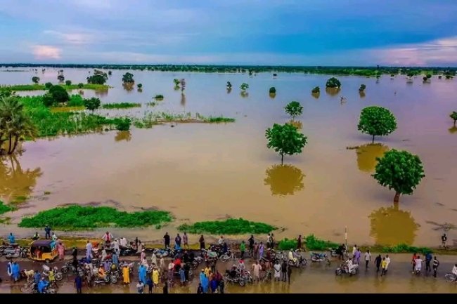 QUICK FACTS ABOUT CAMEROON'S LAGDO DAM CAUSING FLOODS IN NIGERIA