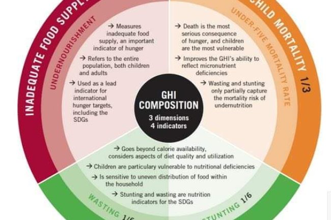 THE 2022 GLOBAL HUNGER INDEX 
