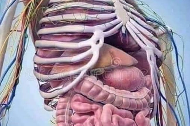 OUR CREATOR IS A WONDERFUL GOD!!!