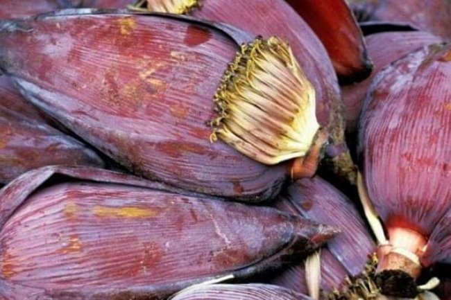 THE BENEFITS OF THE BANANA FLOWER