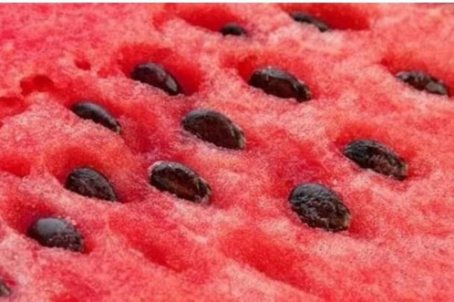 THE BENEFITS OF WATERMELON SEEDS
