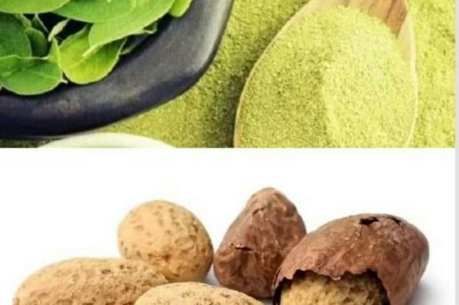 HEALTH BENEFITS OF MIXING COLA AND MORINGA