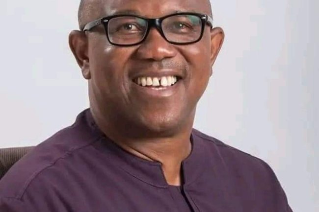 STEAL PUBLIC MONEY UNDER LABOUR PARTY AND FACE GOVERNMENT WRATH – PETER OBI 
