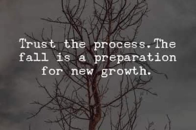 DO YOU TRUST THE PROCESS OF LIFE?