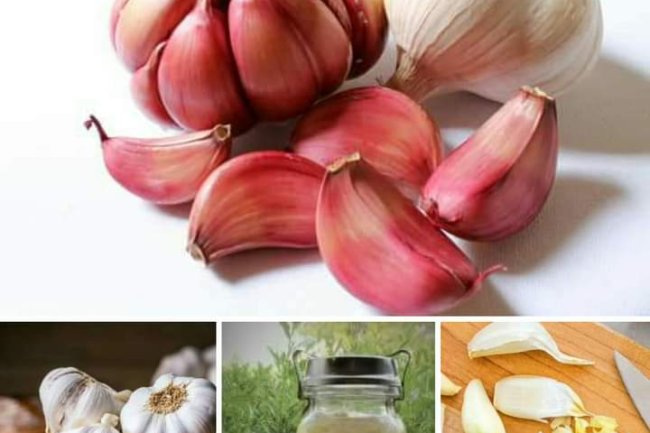 GARLIC ( THE POOR MAN PENICILLIN)