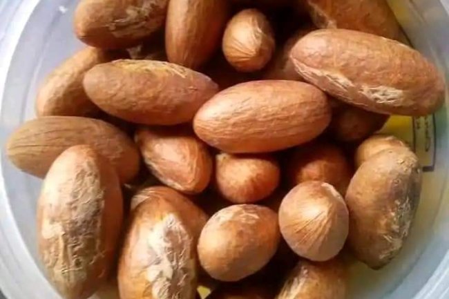 FOR ANY KIND OF INFERTILITY ISSUES IN WOMAN/MAN 