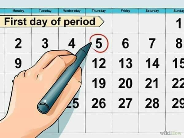 ALL YOU NEED TO KNOW ABOUT OVULATION