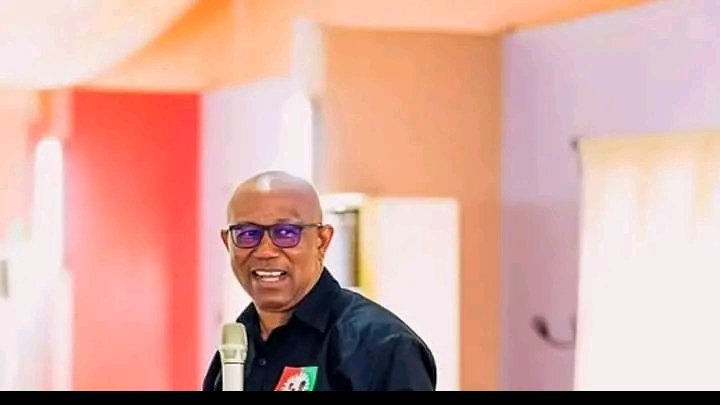 THEY WANT TO PUT ME IN DETENTION BECAUSE I SAID IT'S THOSE IN GOVERNMENT THAT STEAL OIL - PETER OBI  