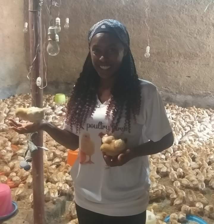 THINGS TO KNOW BEFORE VENTURING INTO POULTRY FARMING